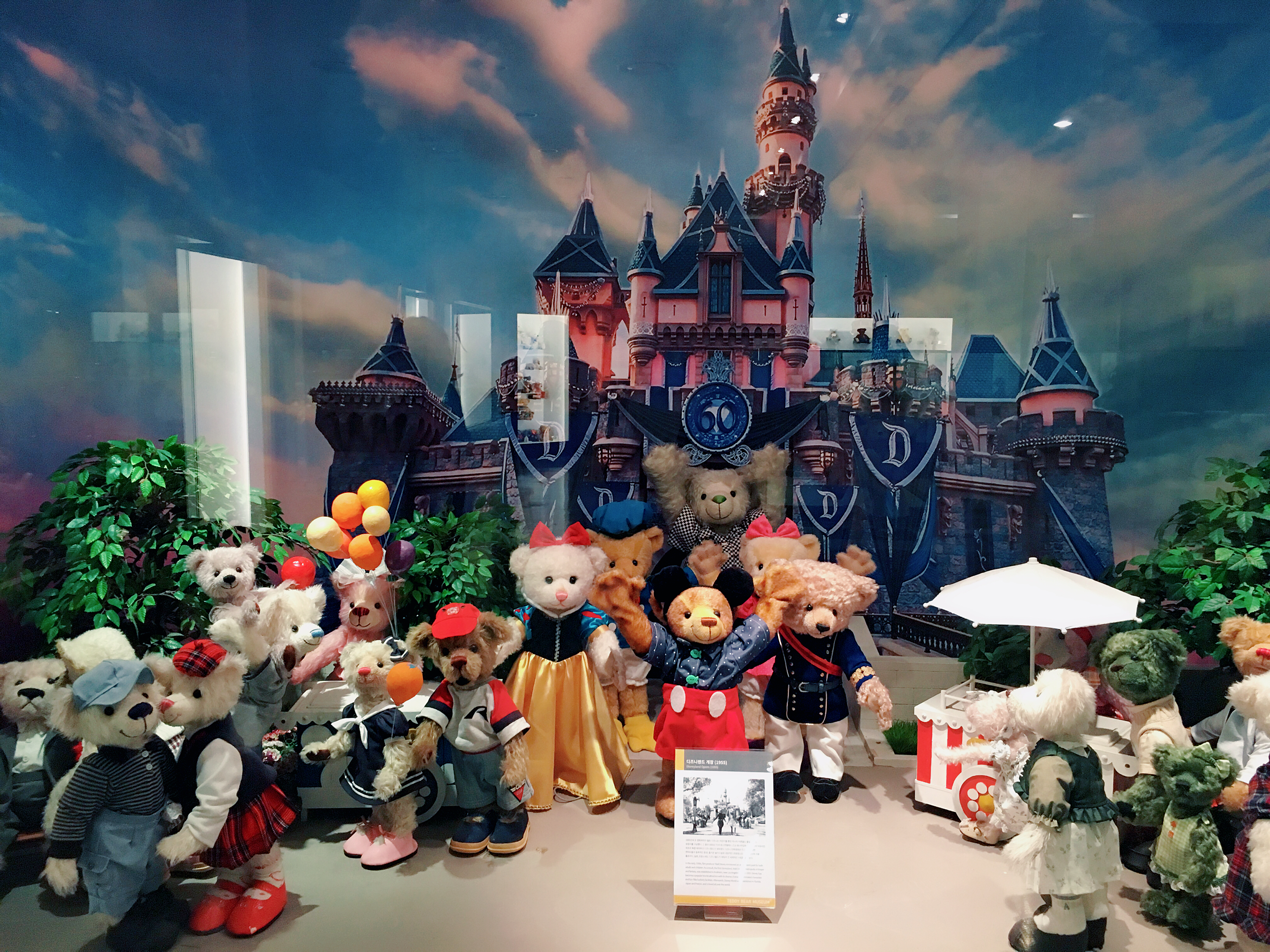 出国游玩新手小白,出国去韩国济州岛打工