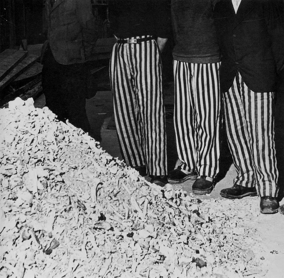 希特勒浴缸中的女人：传奇女摄影师LeeMiller