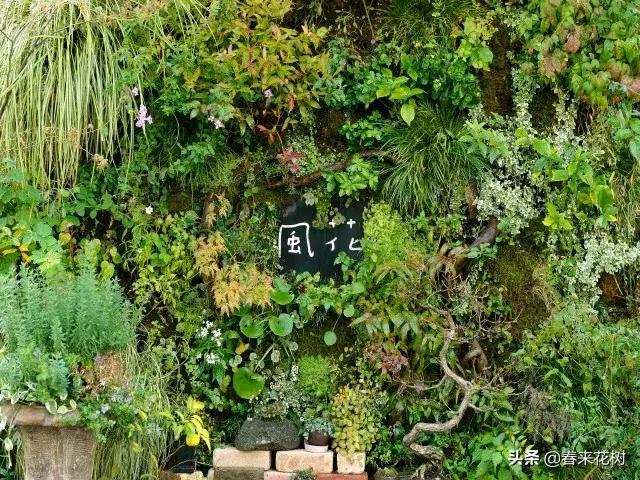 日本东京花店推荐,超美的花店