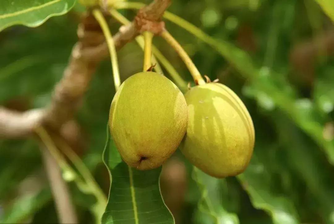 冬天这样护肤,睡觉都是“滑”进去的