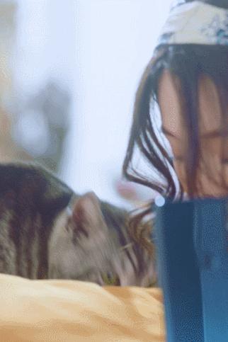 vivos1专业拍照模式,vivos1专业拍照模式教程