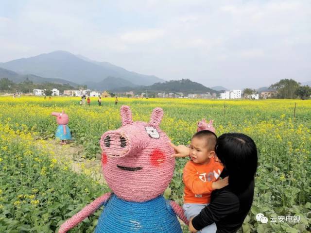 云雾山旅游区景点,美丽云雾山旅游攻略