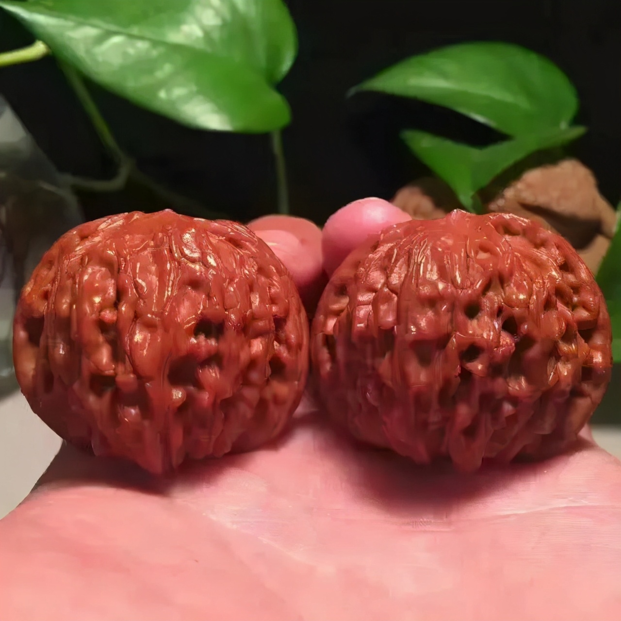 上色核桃怎么盘玩,核桃上色方法视频教程