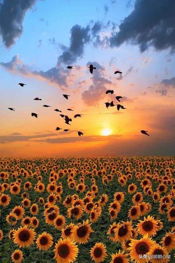 明朝王阳明致良知学说,王阳明良知学说及当代意义