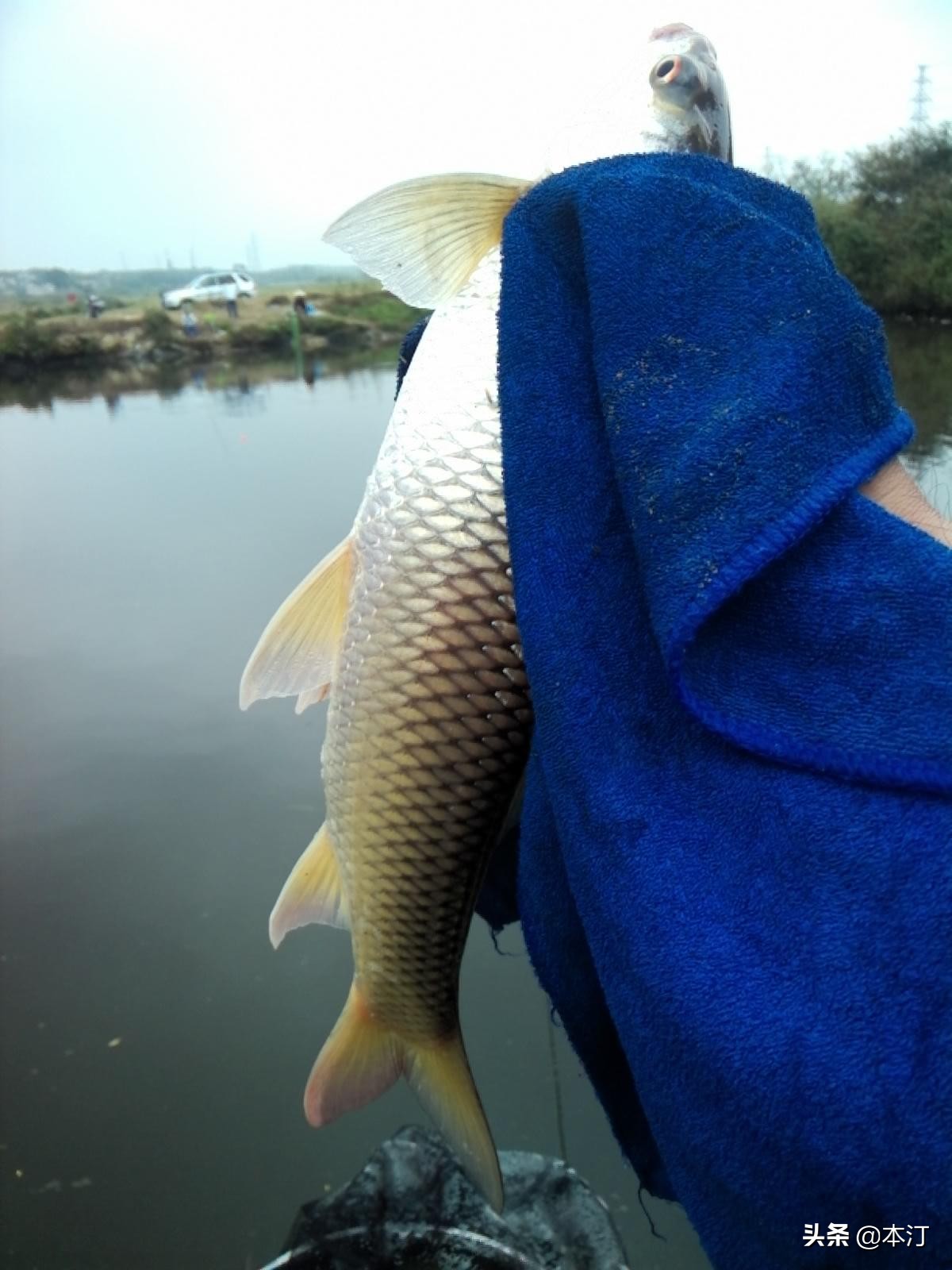 钓鱼怎么选择窝子,石窝钓鲤鱼钓法