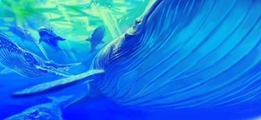 《海底两万里》奇异的海底生物,海底两万里的三处神奇的地方