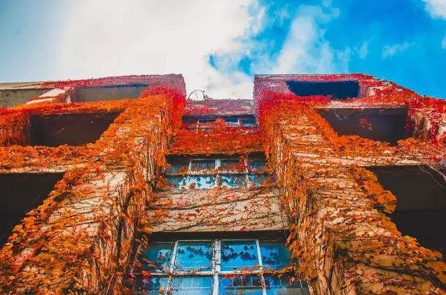 高校网红食堂盘点,河北一高校网红食堂