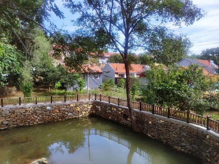 济南申请加入“大乱斗”！@理塘丁真，你的珍珠……泉在这里！