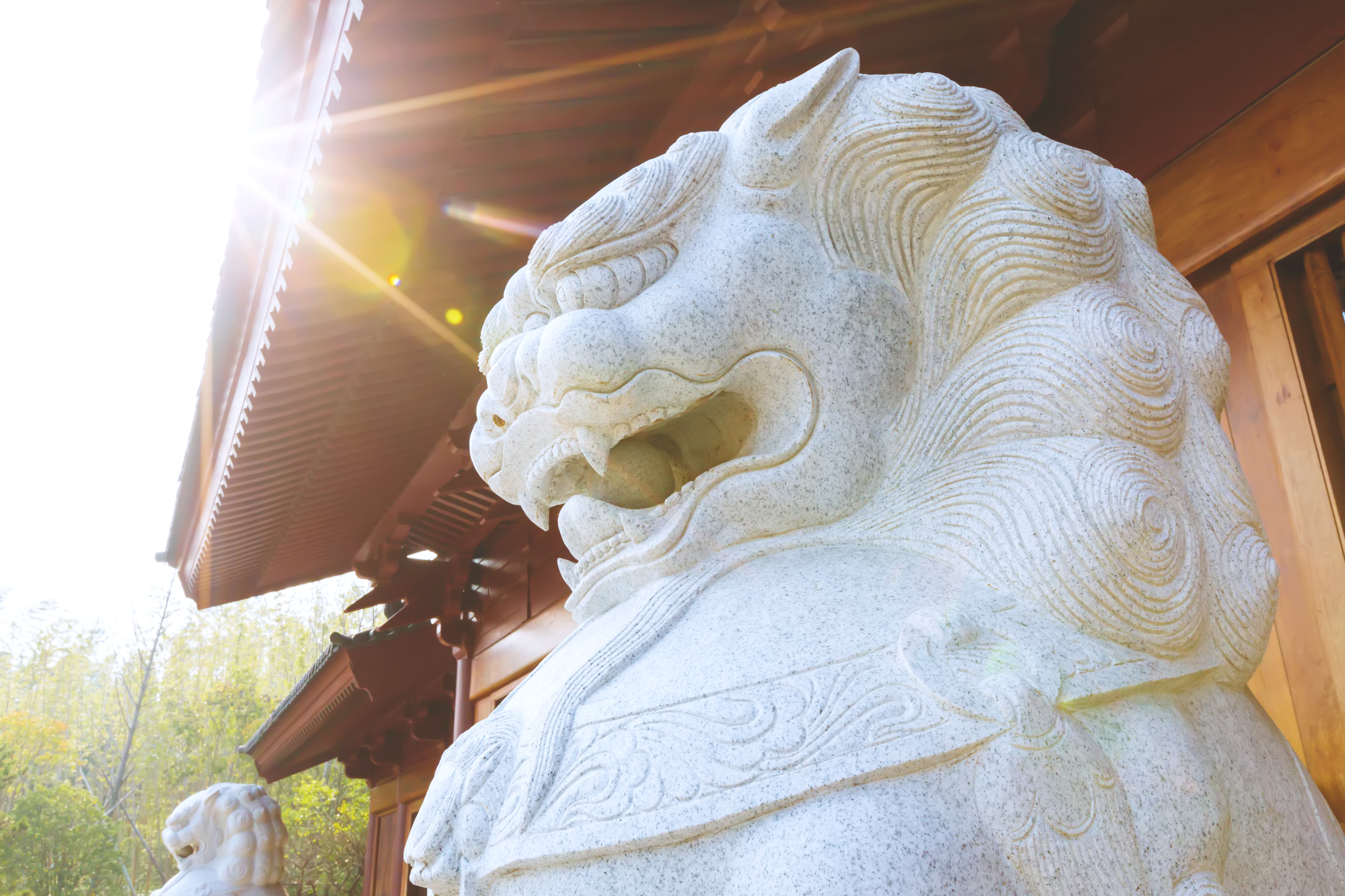 释迦牟尼舍利子头盖骨,释迦牟尼的真身头盖骨