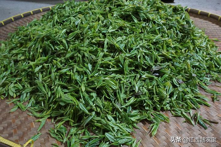 江西婺源的绿茶,千年茶香婺源绿茶