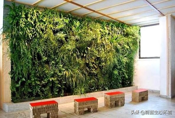 办公室工业风绿色植物装饰效果,办公室室内绿植绿化设计部分展示