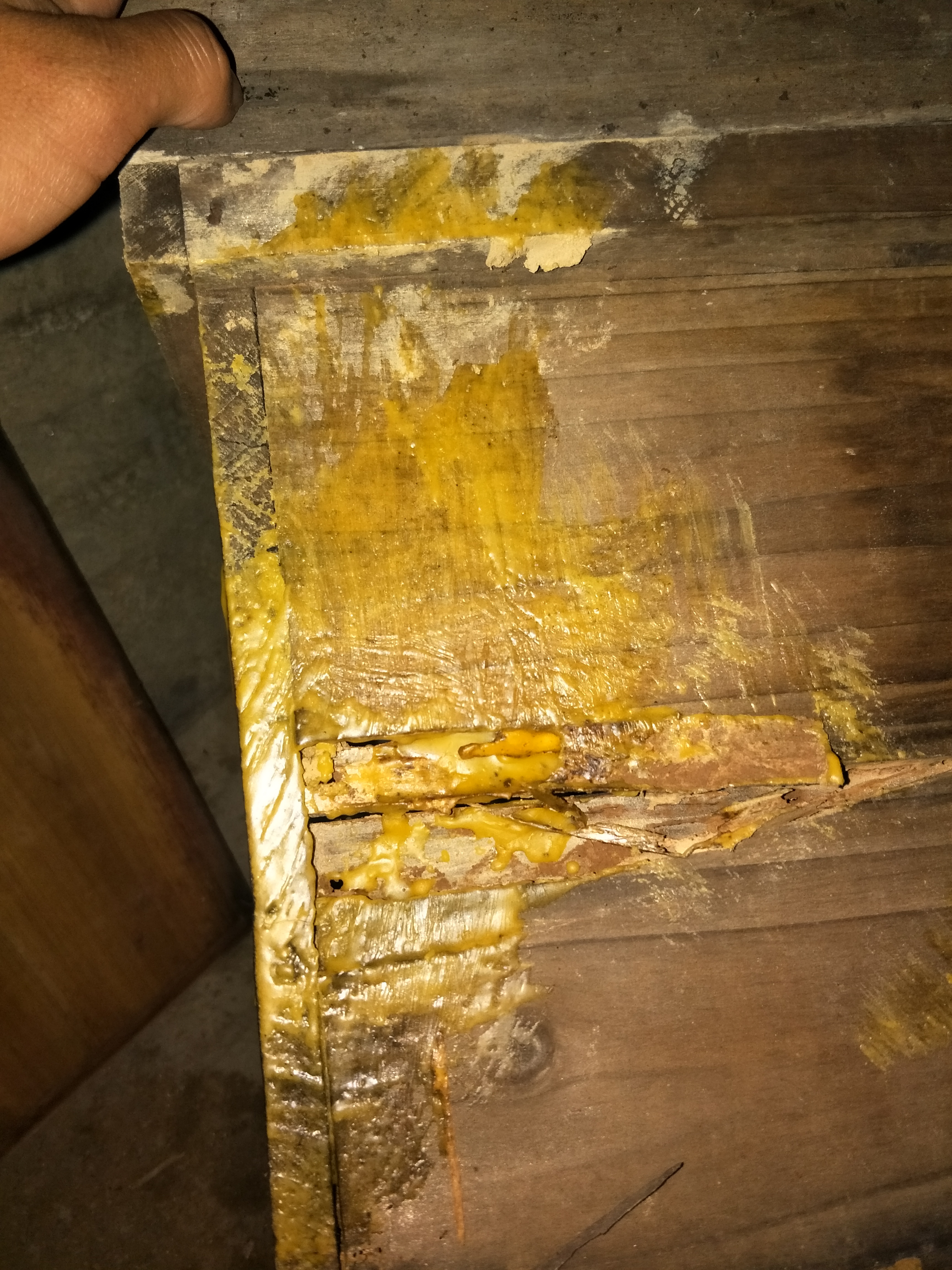 蜂箱养蜂技巧视频教程,养蜂教程讲解蜂箱快速诱蜂