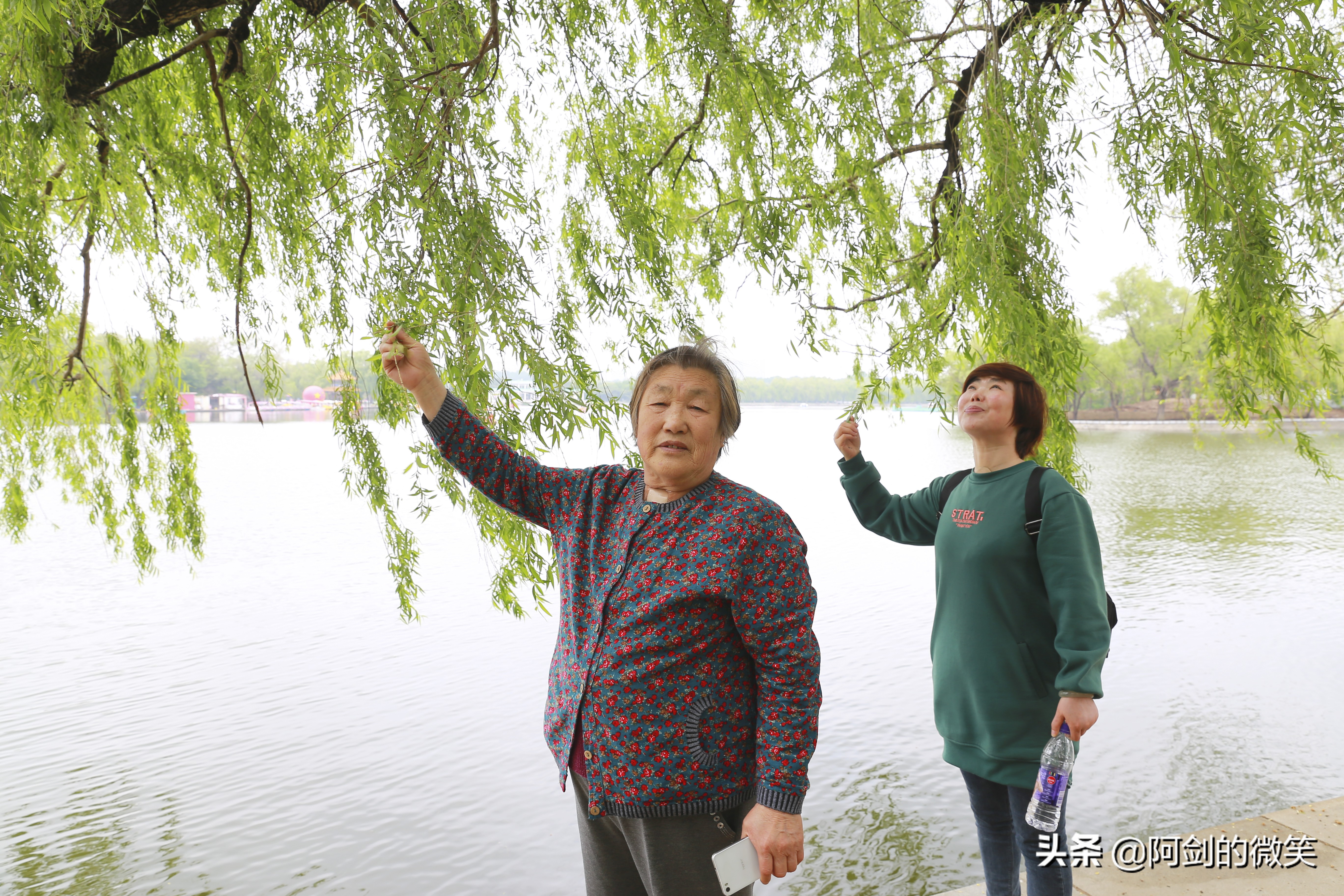 沈阳北陵公园旅游团,今天的沈阳北陵公园