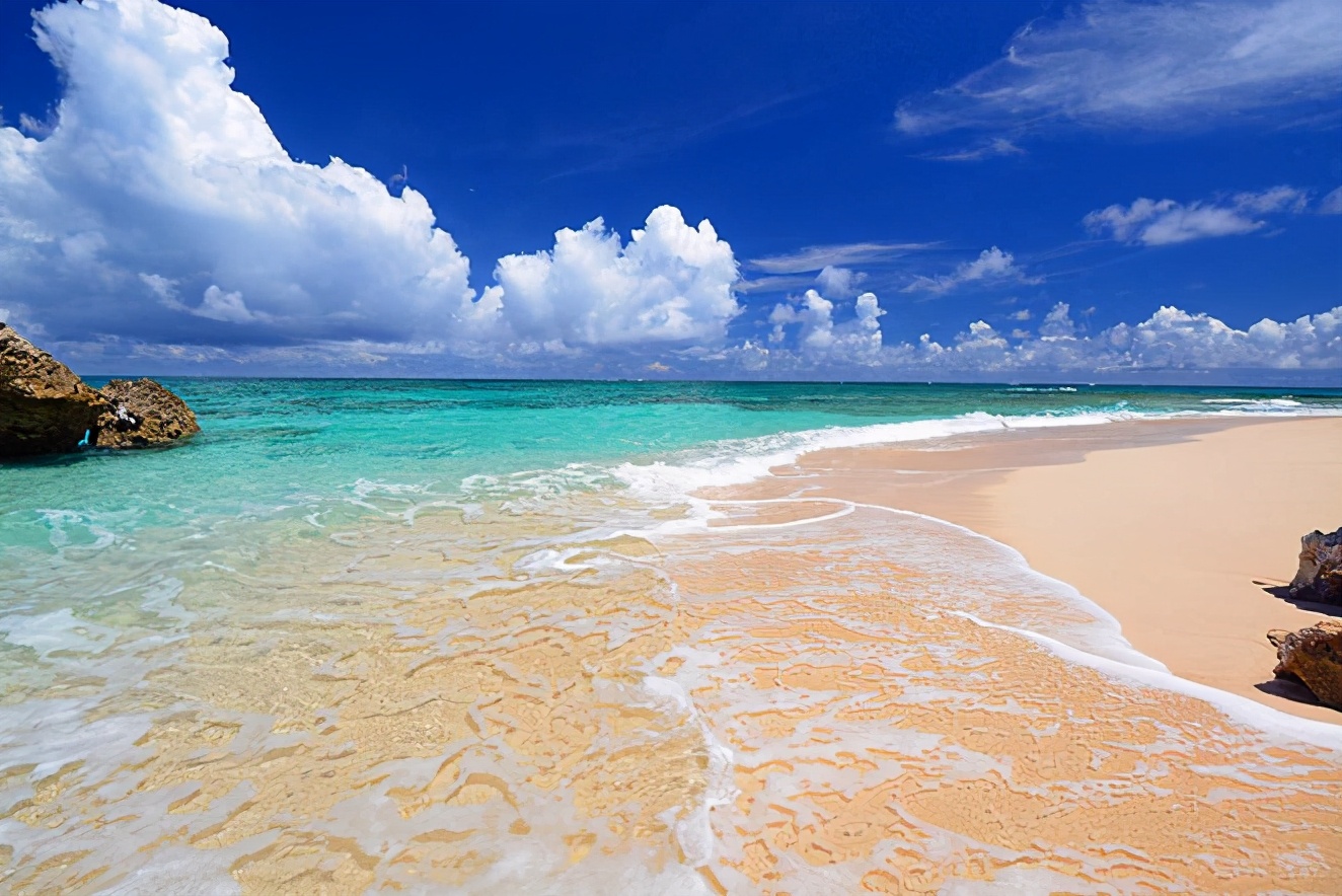 日本琉球大学,琉球大学简介