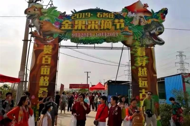 【不忘初心、牢记使命】武清区石各庄镇拓宽销售渠道，让百姓致富路越走越宽