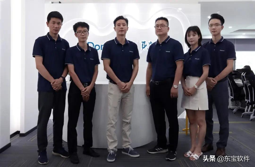 东宝软件核心愿景,东宝软件的发展前景