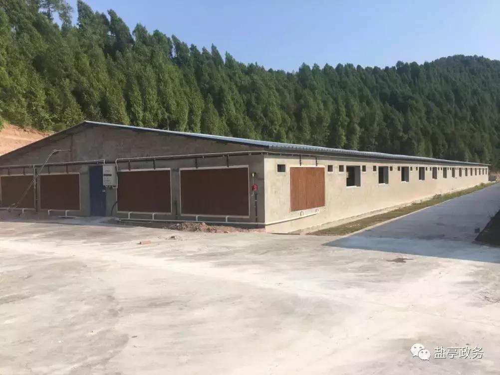 沃野千里风景图,山乡巨变之美不胜收