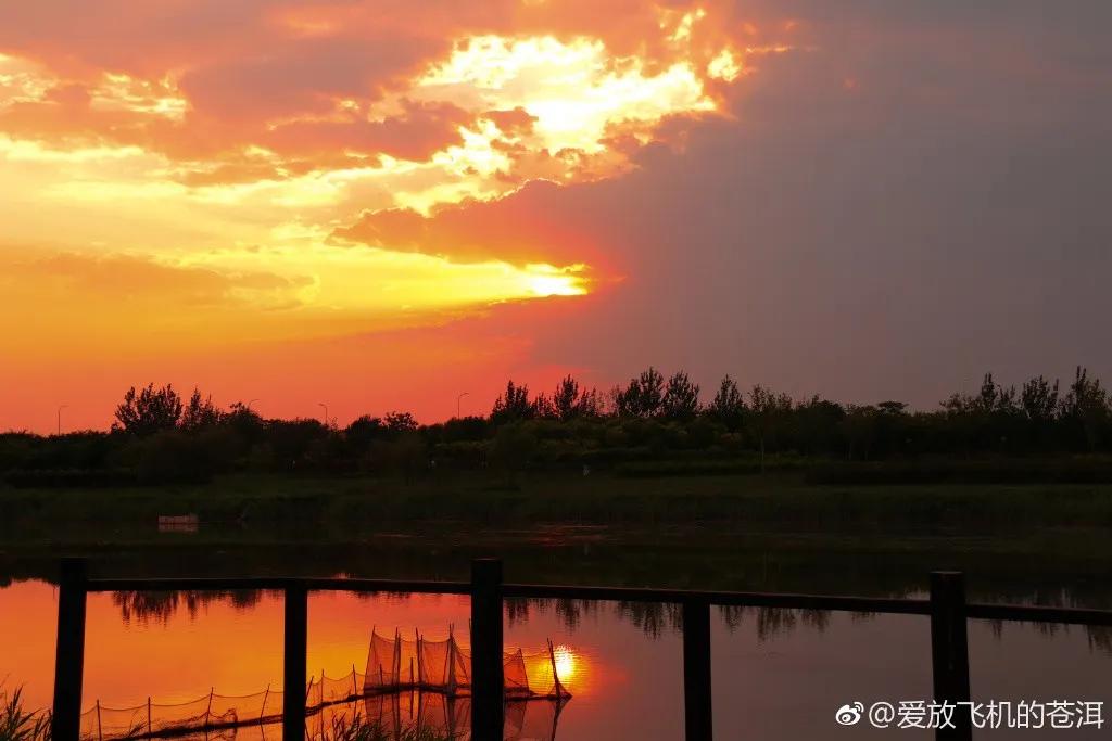 津南区打架,津南区打架视频