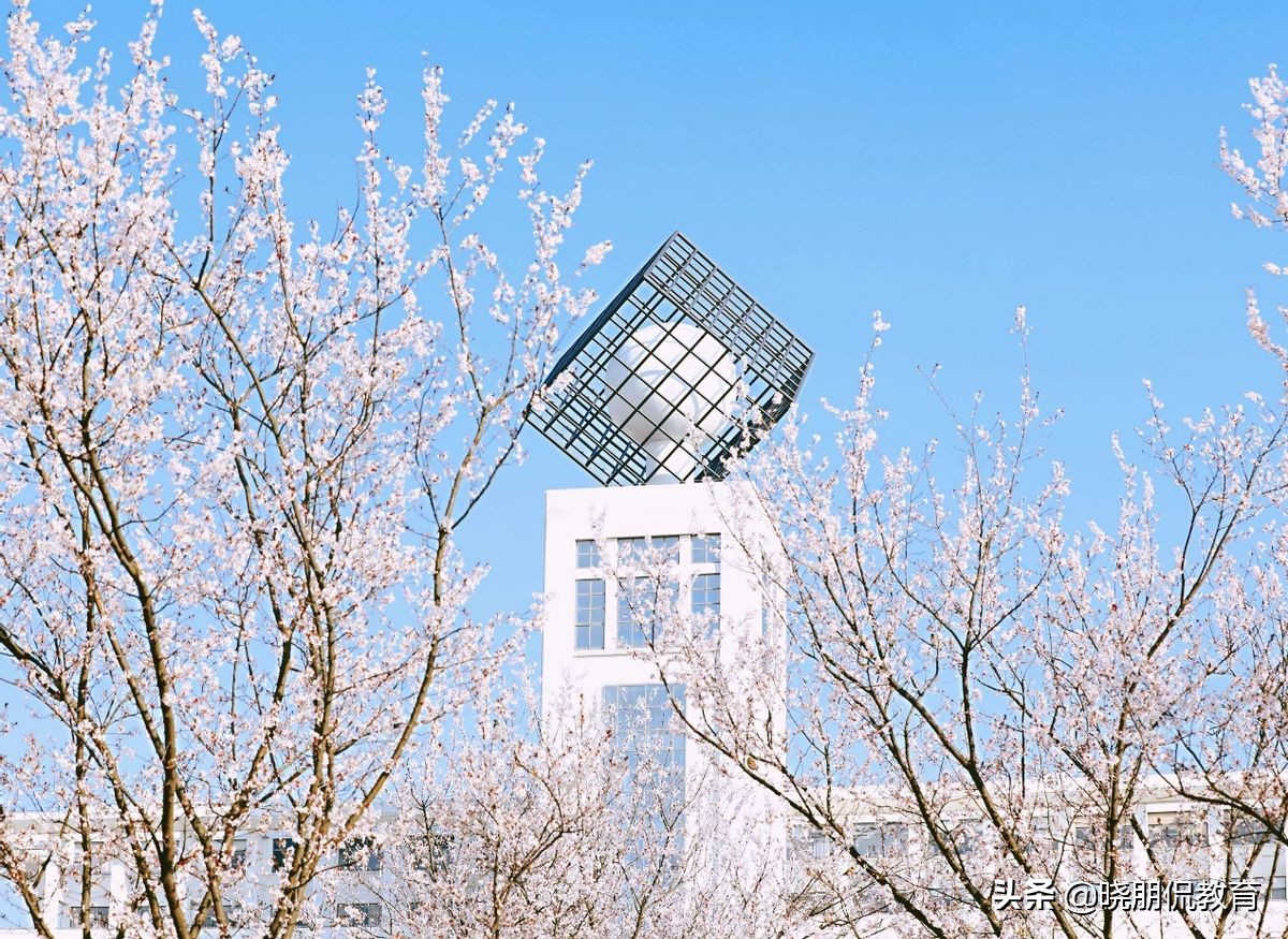 常州大学新招生,常州大学值得报考的专业