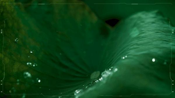 刘强东推荐一双小白鞋,刘强东的鞋子