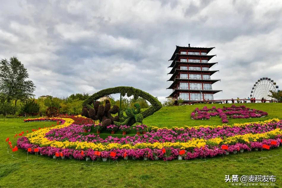 马跑泉公园有菊花展吗,庆祝菊花