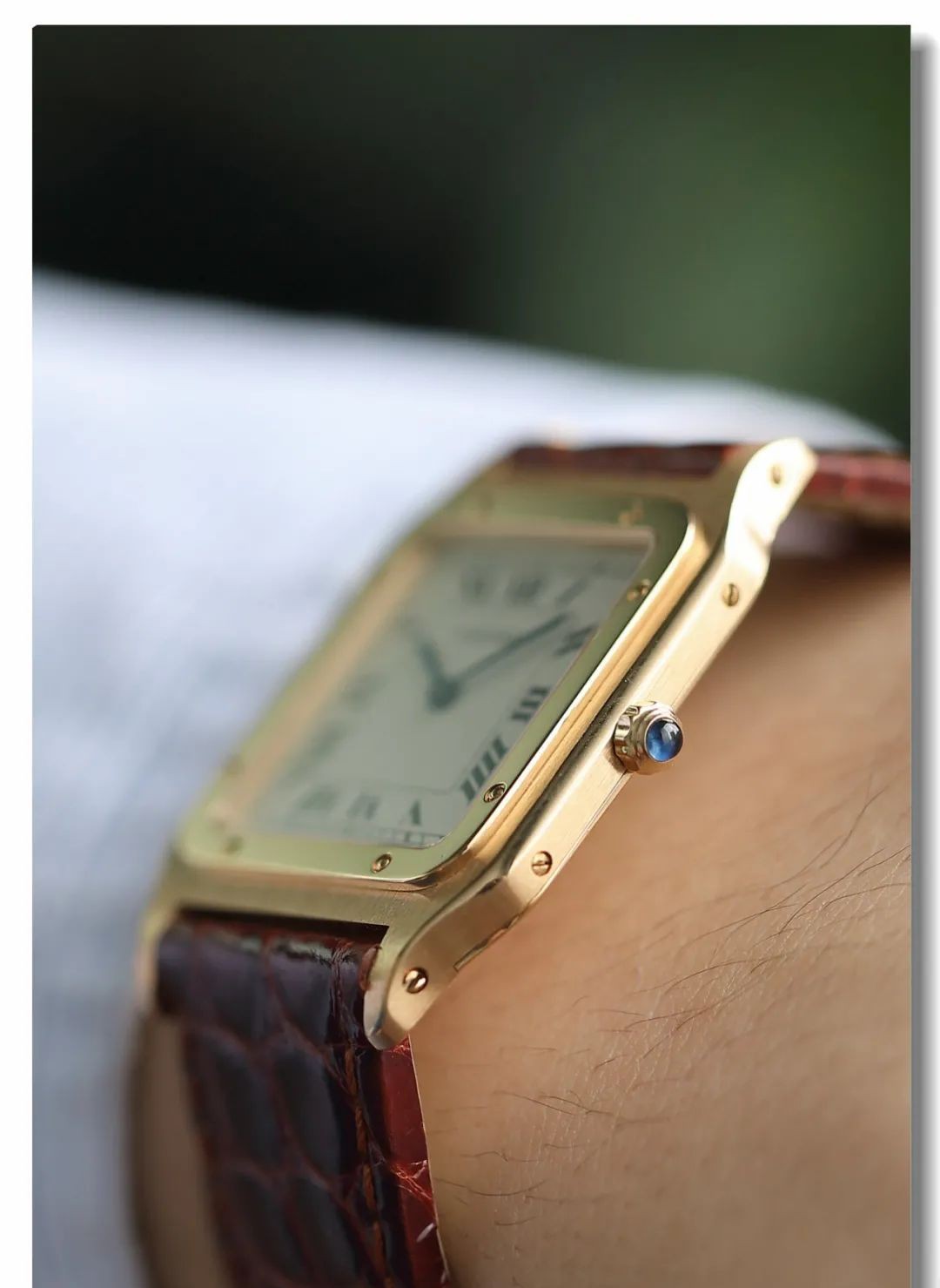 戴安娜腕表,戴安娜戴两支表