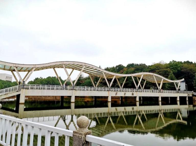 考上职业学院什么感觉,湖北经济学院好考吗