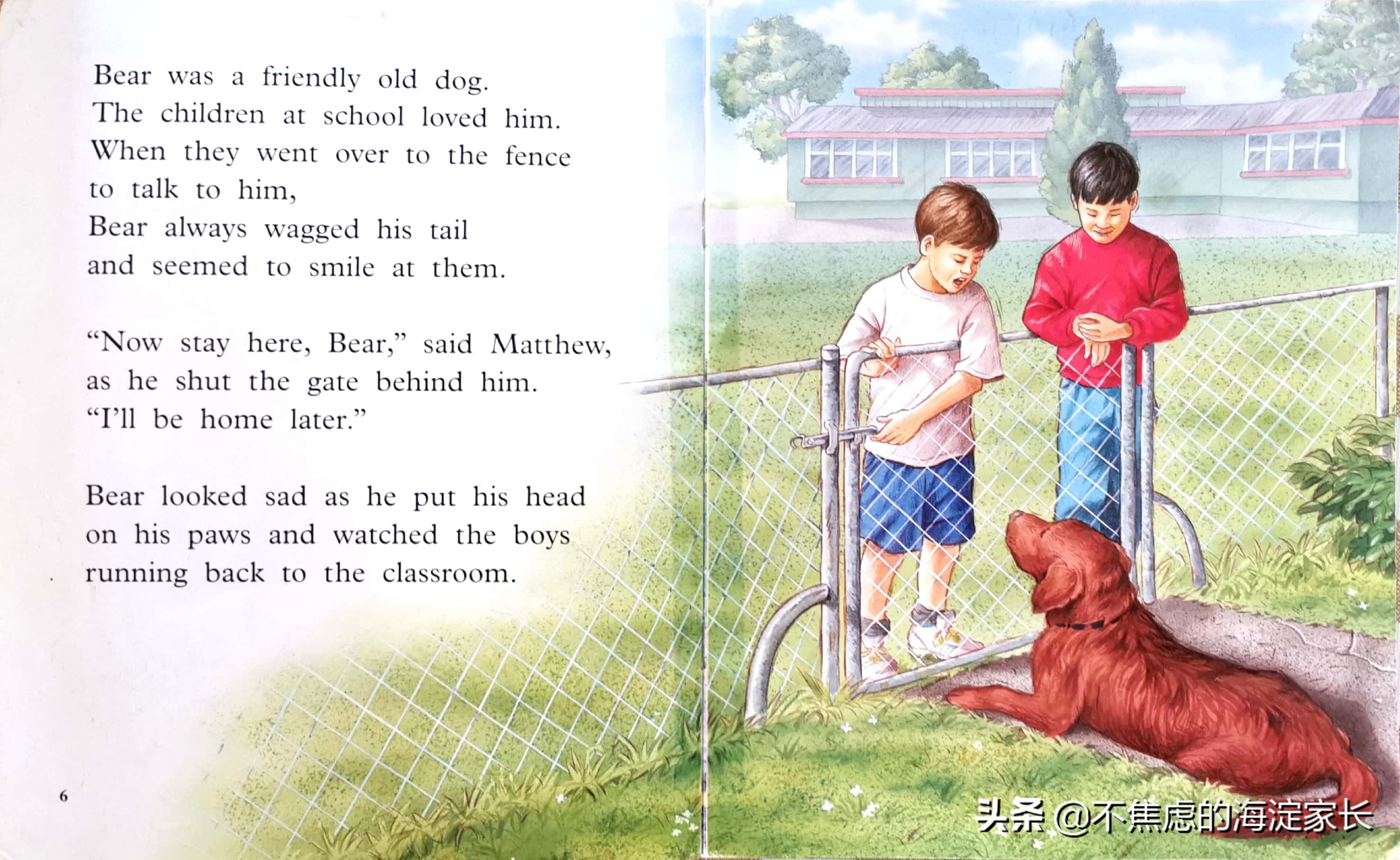 新西兰小学课后读物,新西兰小学读书