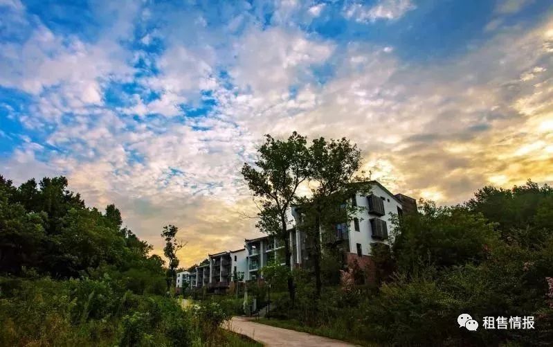 九华山攻略一日游拜佛最佳路线,九华山礼佛路线