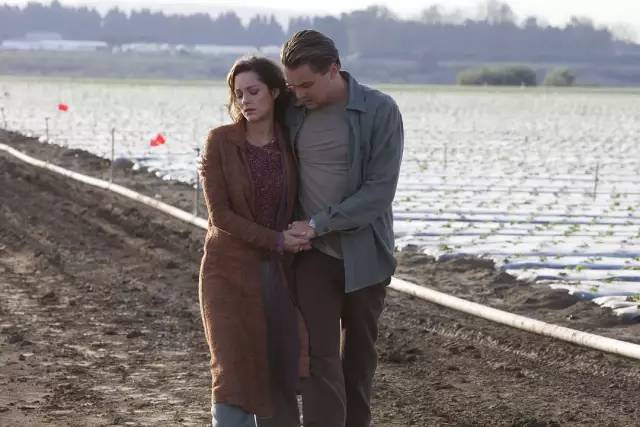 玛丽昂·歌迪亚生涯十大电影，《盗梦空间》位列第二