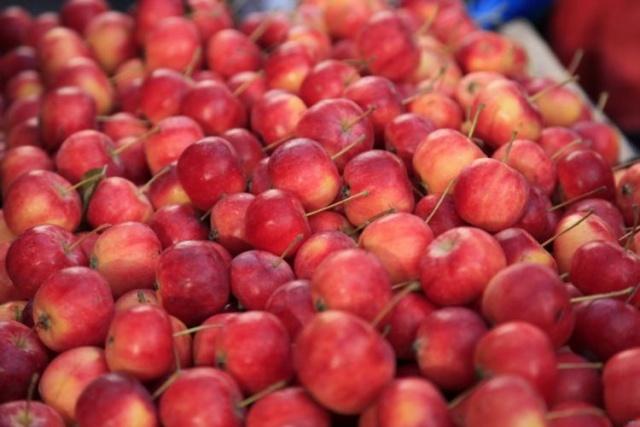 甯︾孩瀛楃殑姘存灉鍚嶇О澶у叏,甯︾孩瀛楃殑姘存灉