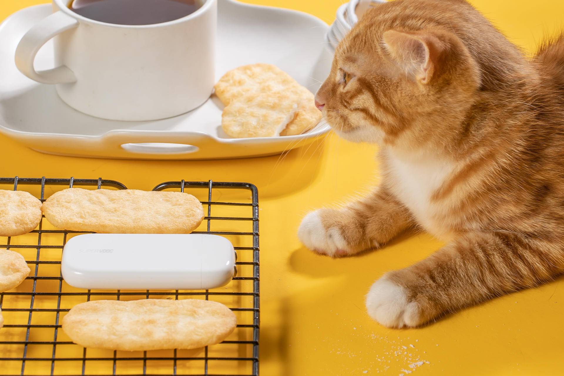 oppo超级闪充充电器80w超长,oppo新一代50w超闪饼干充电器