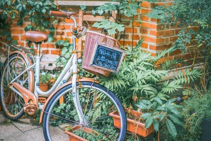 广州小众自驾,广州10个必去打卡的地方