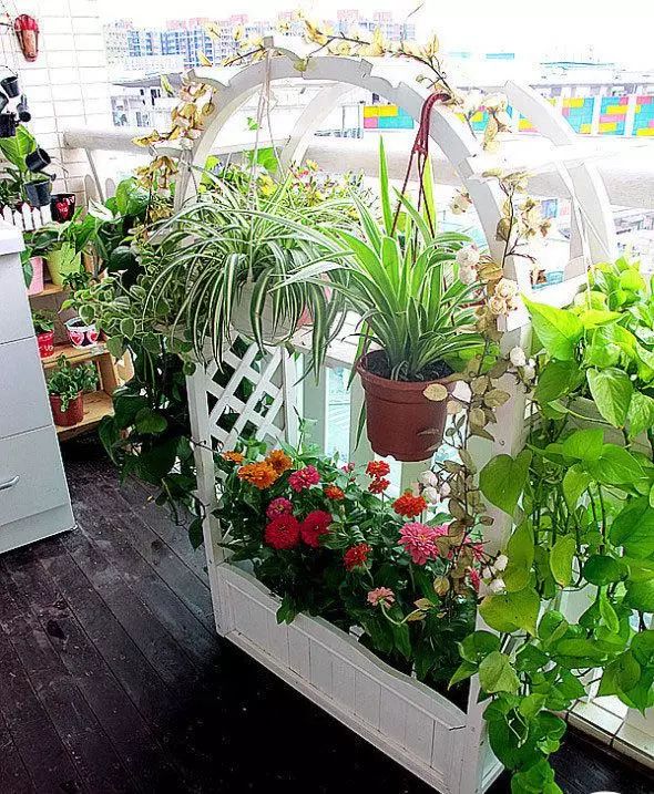 阳台打造成小花园超好养,阳台打造成小花园