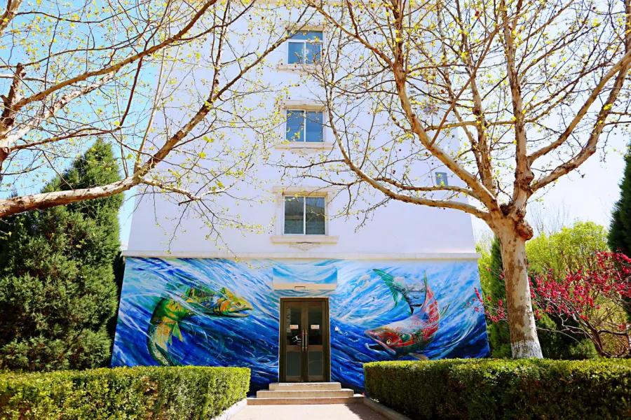 科德学院好过吗,科德学院实力有多强