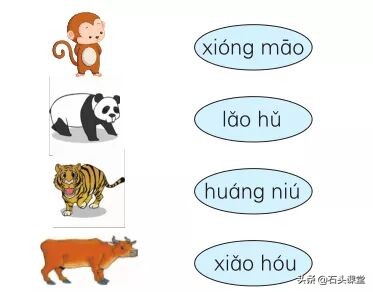 小学语文基础知识精讲1,小学语文基础知识大全专项训练