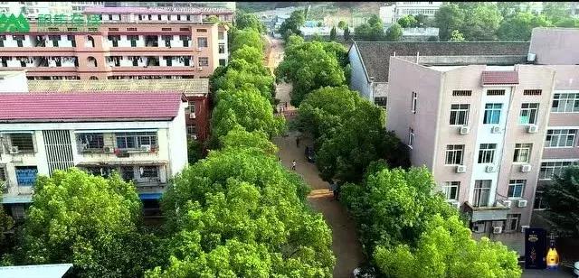 鍗拌薄绁佷笢鑸媿,鍗拌薄绁佷笢褰掗槼