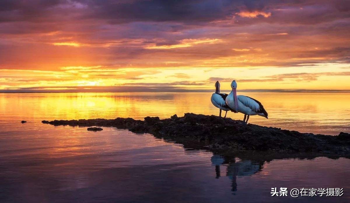 相机拍摄人像变黄怎么办,拍摄人像很模糊后期怎么处理