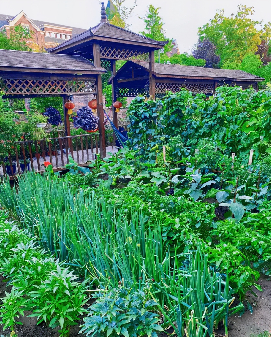 农村庭院实用设计,庭院背景围墙设计实用效果图