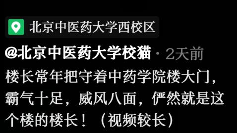 晚会喵、监考喵、楼长喵，被大学生宠爱也太幸福了吧
