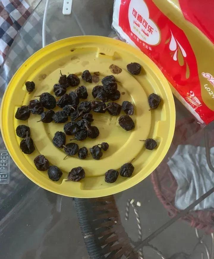 没去过新疆好吗,没去过新疆要注意啥