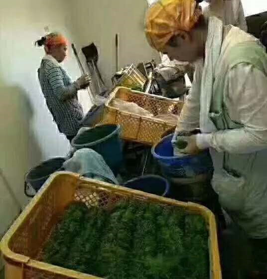 工地日薪400元招年轻人,工地上急招工日薪可达400