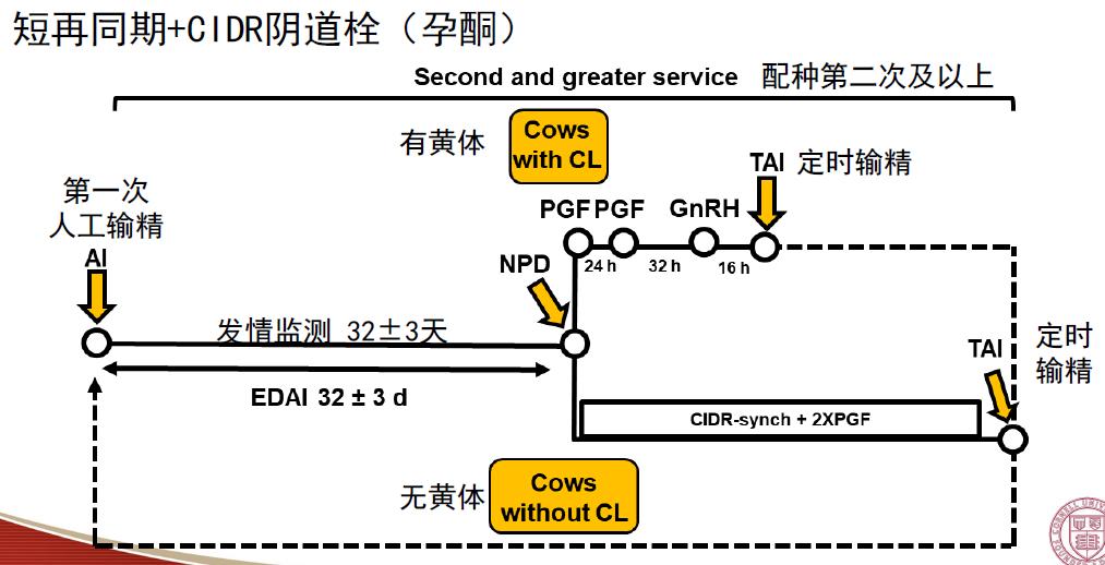 牧场的数据采集,奶牛场繁育数据分析教程