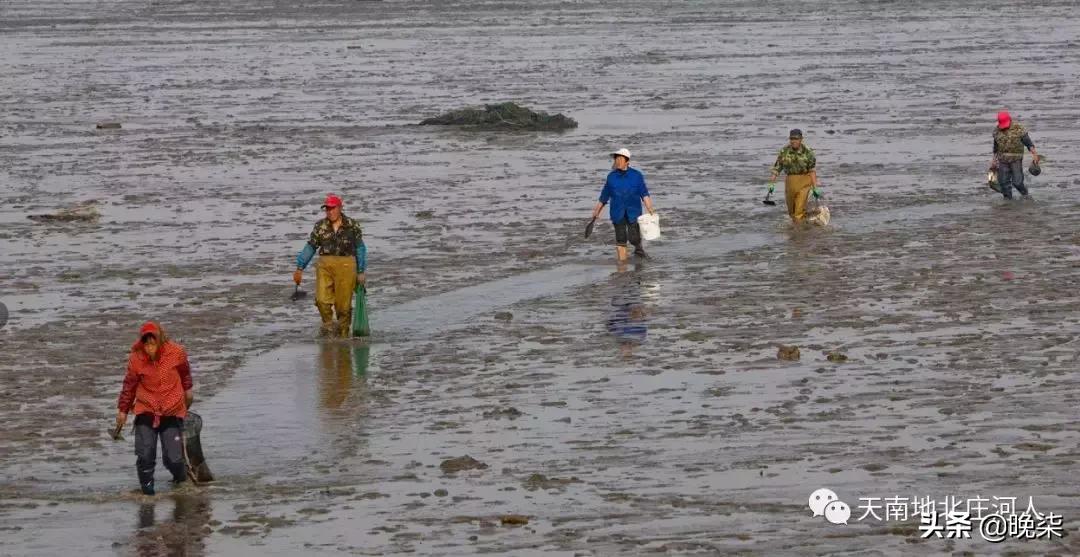 大连庄河赶海排名第一名,庄河赶海网红视频