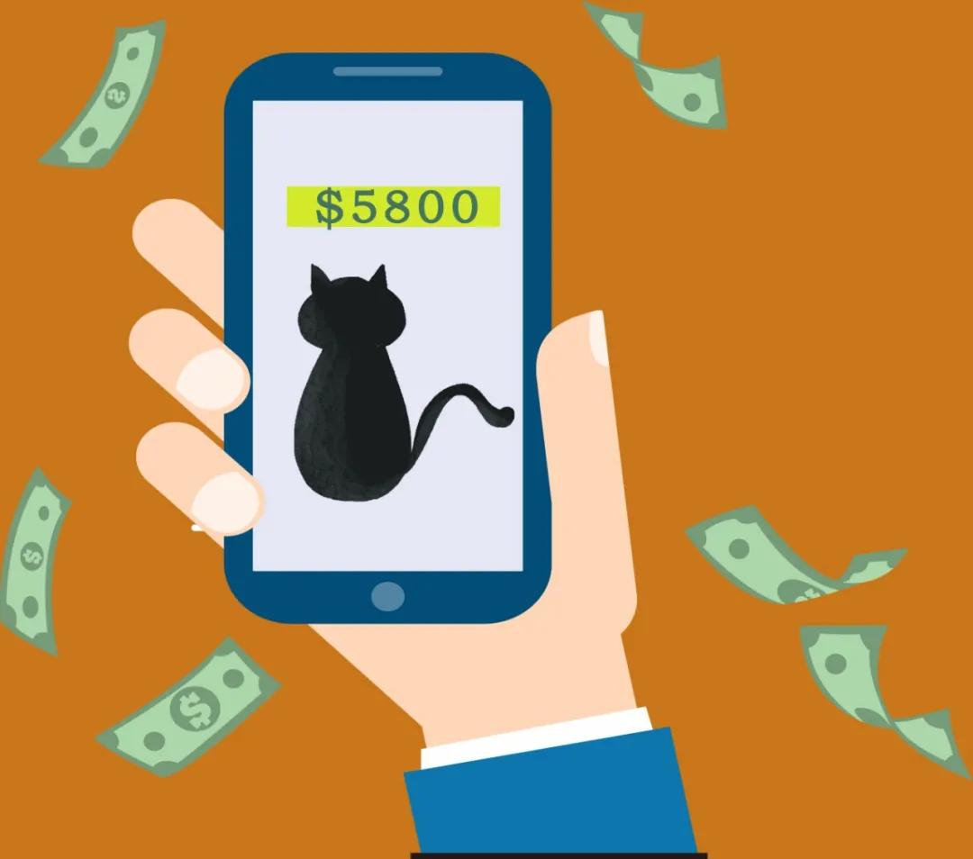 6000多人网上养猫被骗几亿元,云养猫骗局钱能追回来吗