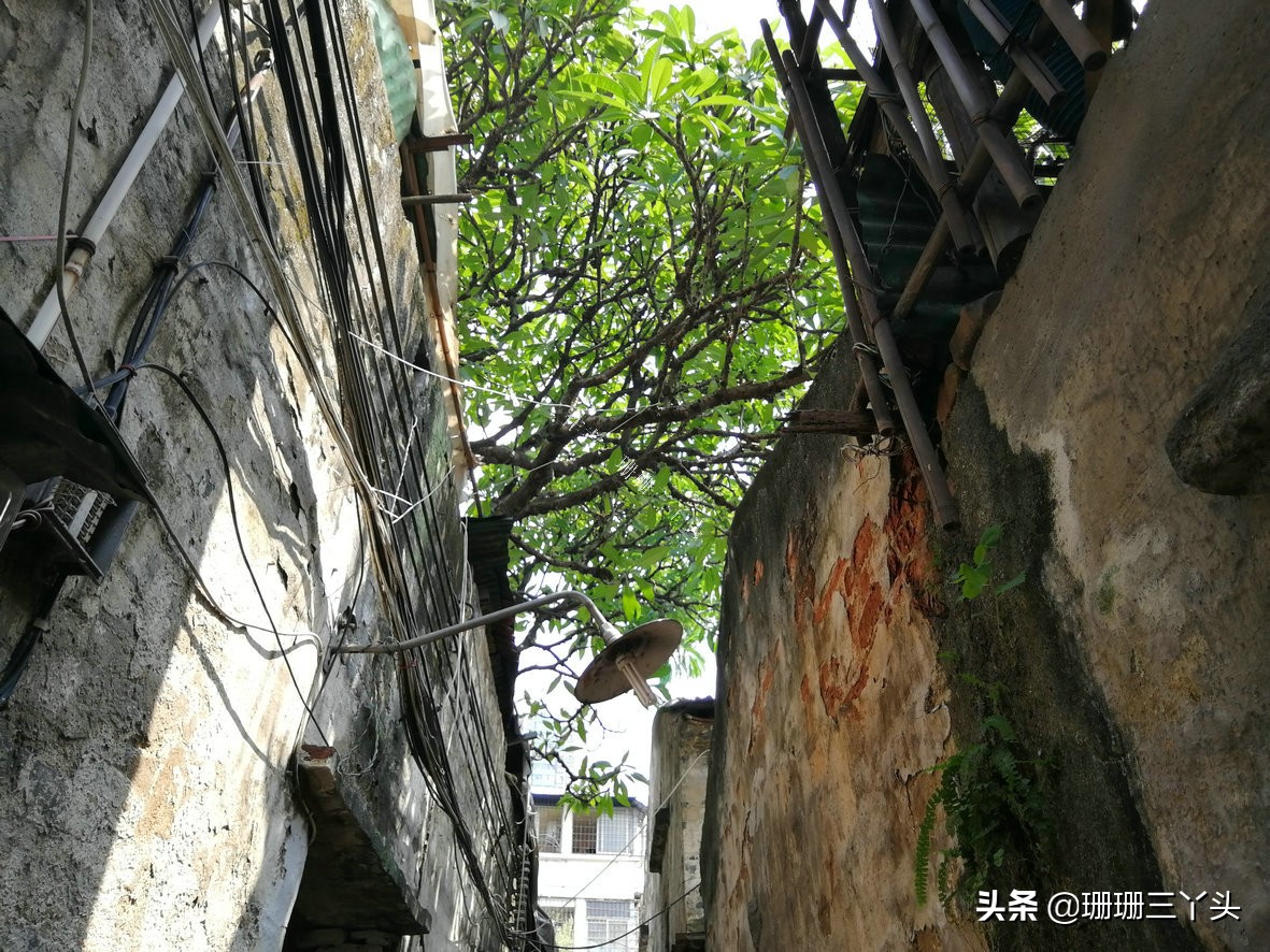 探访鲁迅故居的意义,鲁迅故居寻访过程