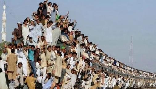 印度人说咖喱味英文,印度英语咖喱味日本英语什么味