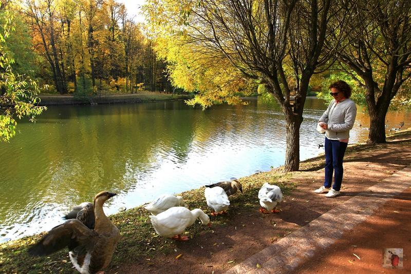 奢华宏伟,绝美的风景俄罗斯