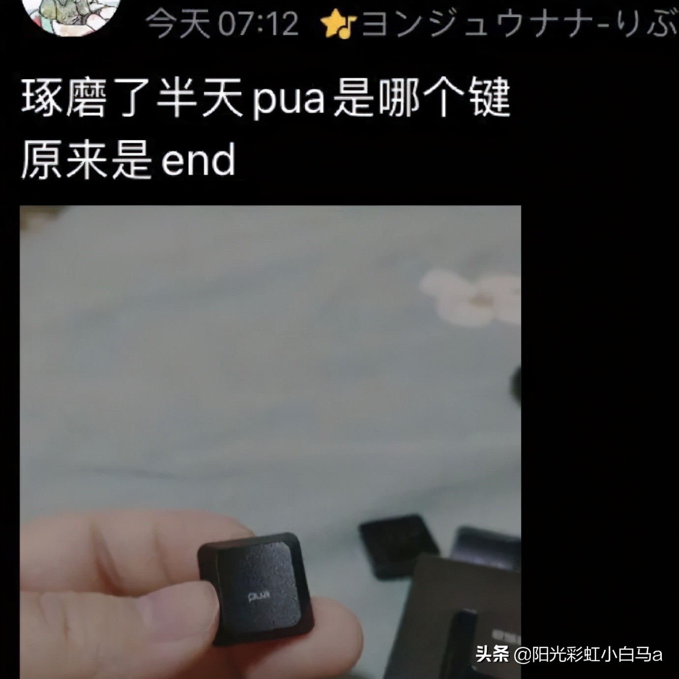 李英爱学腹语,2015韩国小姐李英爱腹语视频