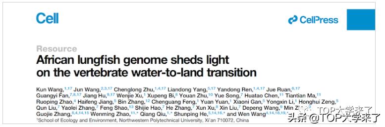厉害了！西北工业大学首篇第一署名单位的《Cell》来了